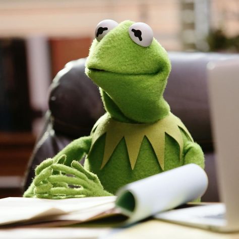 Kermit The Frog Mood, Sitting At Desk, Eat Snacks, Reaction Memes, Kermit The Frog, The Frog, Picky Eaters, Desk, Snacks