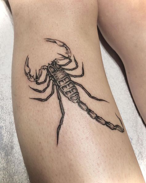 Fine Line Scorpion Tattoo, Line Scorpion Tattoo, Needle Tattoo, Single Needle Tattoo, Scorpion Tattoo, Fine Line Tattoos, Fine Line, Black And Grey Tattoos, Scorpion