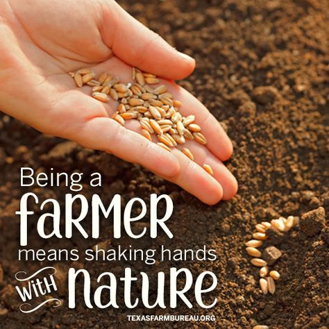 Agriculture Education Lessons, Agriculture Quotes, Agriculture Photography, Farm Quotes, Farmers Day, Culture Quotes, Tips For Happy Life, Food Captions, Agriculture Education