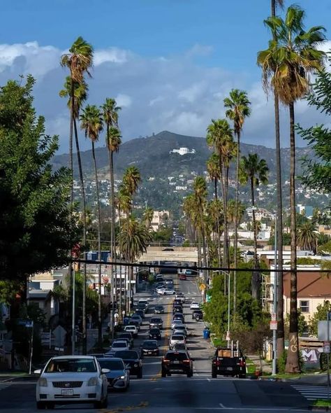 Cali Aesthetic, California Anaheim, California Houses, Angeles Aesthetic, Los Angeles Wallpaper, Los Angeles Aesthetic, Encinitas California, California Aesthetic, Temple City