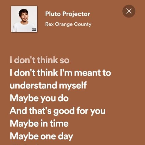 Old Enough To Understand Pluto Projector, Pluto Projector Spotify, Pluto Projector Lyrics, Rex Orange County Lyrics, Pluto Projector, Rex Orange County, Spotify Aesthetic, Spotify Songs, Rex Orange