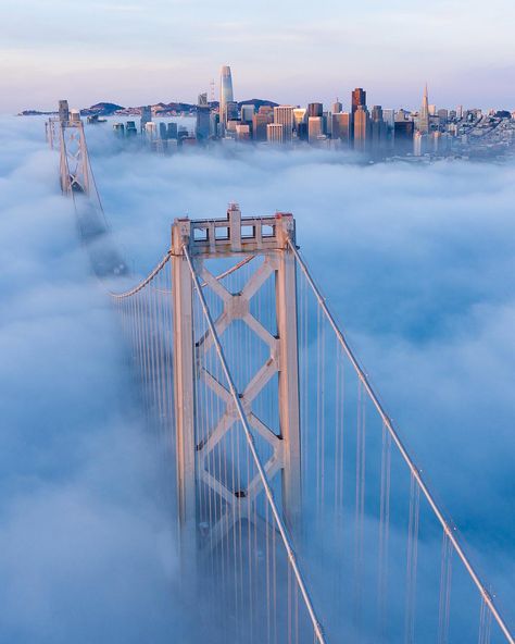 Some rare low fog under the bay bridge in San Francisco. San Francisco Wallpaper, San Francisco Pictures, America City, California City, San Francisco Travel, San Fran, Cultural Center, Cool Landscapes, American Cities