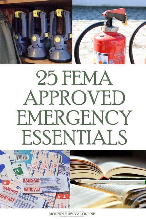 Emergency Preparedness Checklist, Emergency Preparedness Items, Survival Prepping Diy, Survival Skills Emergency Preparedness, Emergency Essentials, Emergency Prepardness, Emergency Survival Kit, Doomsday Prepping, Survival Items