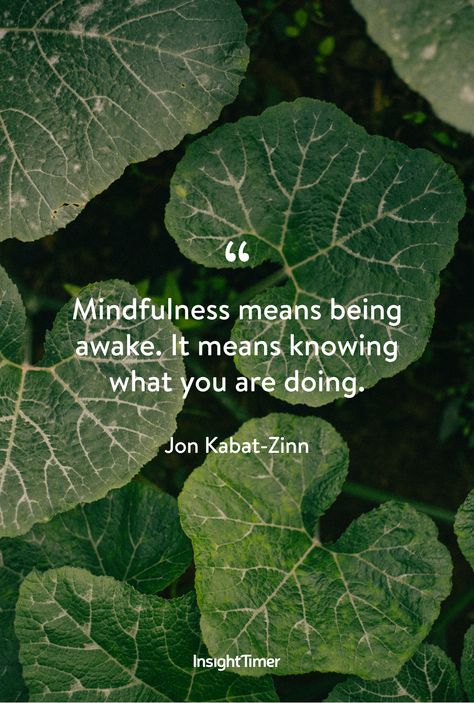 Insight Timer, Jon Kabat Zinn, Meditation Apps, Thought Provoking Quotes, Good Morning Inspirational Quotes, Morning Inspirational Quotes, Mindfulness Meditation, Mindfulness Quotes, Thought Provoking