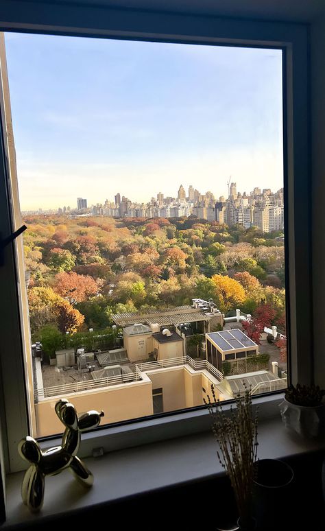 Central Park View From The Only Window In My 400 Sq Ft Studio Lilac Trees, 400 Sq Ft Studio, Studio Pics, Central Park View, Park View, Our Planet Earth, Plitvice Lakes, Breathtaking Places, Just A Pinch