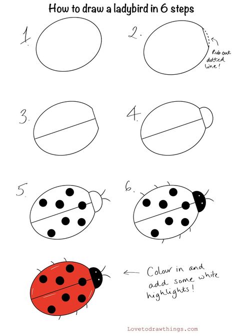 Draw A Ladybug, Trin For Trin Tegning, Easy Animal Drawings, Drawing Lessons For Kids, Easy Drawing Tutorial, A Ladybug, Easy Drawings For Kids, Easy Doodle Art, Drawings For Kids