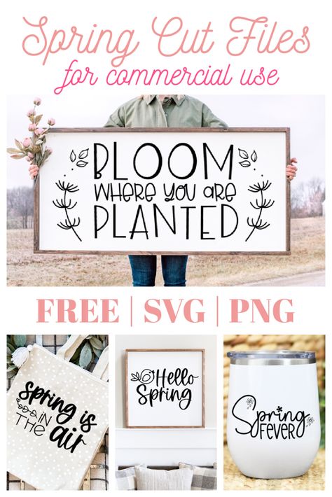 Cricut Picture Frames, Make Business Cards, Quote Svg Files, Spring Svg, Spring Things, Cricut Expression, Vinyl Quotes, Bloom Where You Are Planted, Free Svg Files