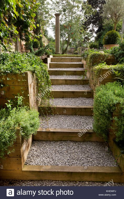 Download this stock image: Gravel and wooden path leading up steps to garden on higher level,English Garden,England - KHDWFJ from Alamy's library of millions of high resolution stock photos, illustrations and vectors. Gravel Steps, Sloped Backyard Landscaping, Landscape Stairs, Wooden Path, Sloped Backyard, Garden Stairs, Tiered Garden, Outdoor Steps, Sloped Garden