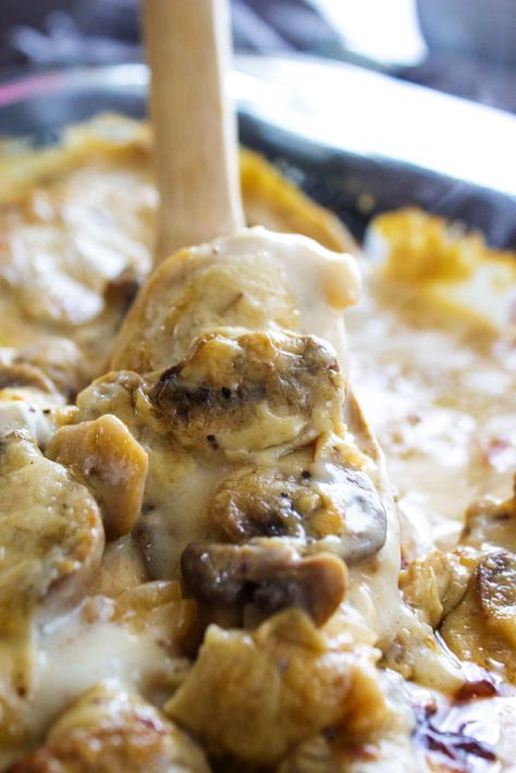 Creamy Chicken and Mushroom Casserole is a super dinner choice for busy weeknights because you can prepare it ahead of time! Chicken and mushrooms, all smothered in a creamy garlic sauce and served over noodles or rice, will be a huge hit for your family! Chicken Rice Mushroom Casserole, Chicken And Mushroom Sauce, Chicken With Mushroom Soup, Chicken And Mushroom Casserole, Creamy Chicken Mushroom, Chicken Mushroom Casserole, Rotisserie Chicken Recipes Leftover, Chicken Mushroom Pasta, Recipes Using Rotisserie Chicken