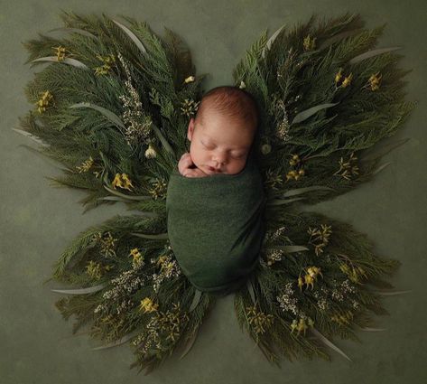 Butterfly Newborn Pictures, Green Newborn Photography, Infant Photoshoot Ideas, Diy Newborn Photography, Baby Boy Newborn Photography, Foto Newborn, Newborn Family Photography, Newborn Photography Poses, Newborn Baby Photoshoot