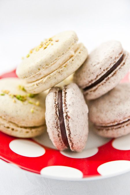 Macaron Recipe Without Almond Flour, French Macarons Flavors, Almond Macarons, Soy Free Desserts, Hazelnut Recipes, Chocolate Macaron, Macaron Flavors, Dessert Recipies, French Macaroons