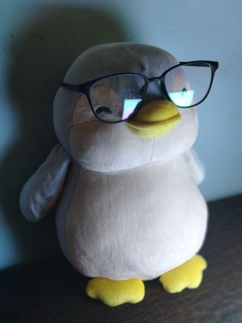 oof Miniso Penguin, Penguin Teddy Bear, Study Snaps Ideas, Cute Teddy Bear Pics, Drawing Male Hair, Penguin Plush, Creative Wedding Gifts, Teddy Bear Pictures, Bear Pictures