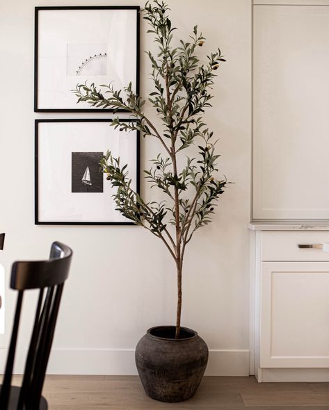 Our classic aged pots are here to stay! Pair them with a faux olive tree for the most perfect styled combo. Olive Tree Pot, Elm Wood Furniture, Senufo Stool, Vintage Terracotta Pots, Tree Pot, Organic Living Room, Faux Olive Tree, Entryway Console, Living Room Bench