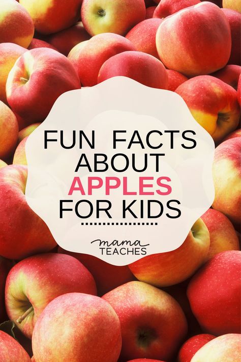 Kids Fun Facts, Preschool Apples, Apple Facts For Kids, Apple Activities For Kids, Fun Facts About Fall, Apple Facts, Fall Facts, Fruit Facts, Memory Care Activities