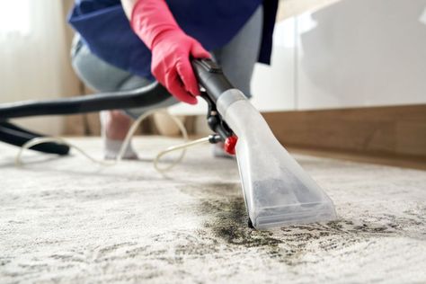 How to Use a Carpet Cleaner for Good-as-New Floor Coverings Cleaning Photos, Carpet Smell, Mold Spores, Dry Carpet Cleaning, Carpet Cleaner Homemade, Domestic Cleaning, Diy Carpet Cleaner, Housekeeping Tips, Carpet Cleaning Solution