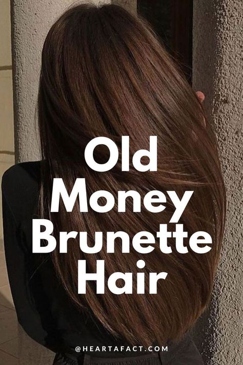 The Expensive Old Money Brunette (Gallery) | Rich Brunette Hair Color Trend 2024 | Expensive Brown Hair Aesthetic Inspo | Light brown hair | dark brown hair Waves With Curtain Bangs, Rich Brown Hair Color, California Brunette, Highlights And Balayage, Rich Chocolate Brown Hair, Rich Brunette Hair, Brunette Hair Color With Highlights, Old Money Brunette, Pelo Chocolate