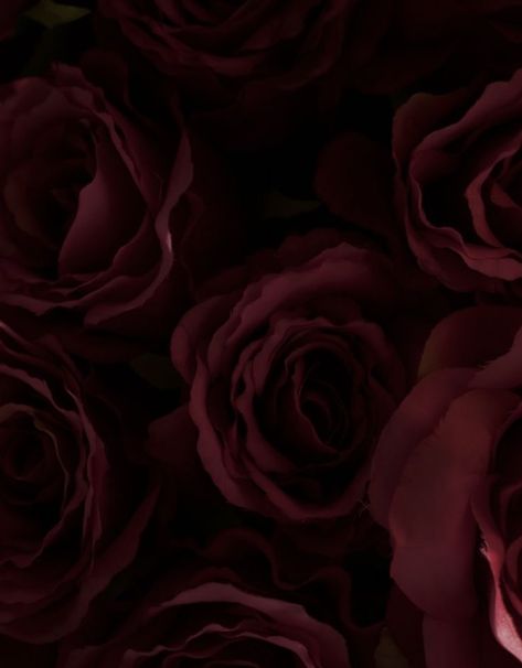 Spilled Red Wine Aesthetic Dark, Dark Red Roses Aesthetic, Wine Red Aesthetic, Red Roses Aesthetic, Aesthetic Lana Del Rey, Maroon Aesthetic, Burgundy Aesthetic, Prettiest Colors, Dark Roses