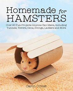 Kandang Hamster, Diy Hamster Toys, Hamster Stuff, Hamster Diy, Hamster Life, Hamster Habitat, Hamster Care, Hamster Cages, Hamster Toys