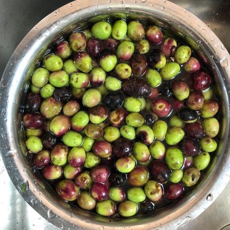 Pickling Olives, Curing Olives, Olive Oil Dip, Pickled Olives, Olive Brine, Fresh Olives, Marinated Olives, Brine Recipe, Olive Recipes