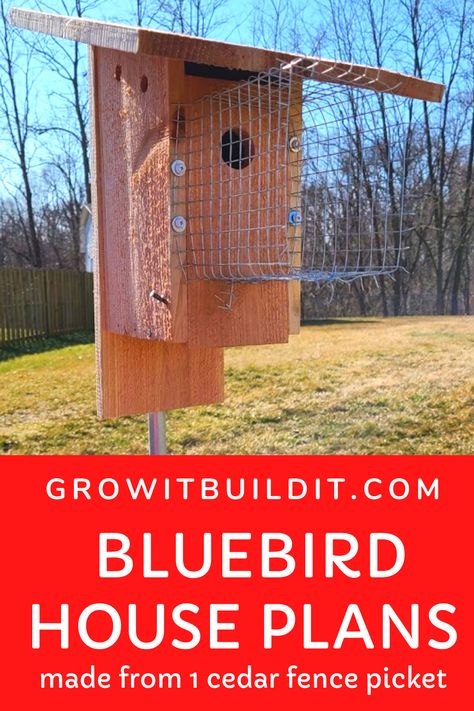 Bluebird House Plans, Blue Bird House, Bird House Plans Free, Diy Birdhouse, Backyard Birds Sanctuary, Cedar Fence Pickets, Fence Picket, Homemade Bird Houses, Bird Houses Ideas Diy