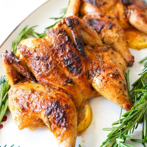 Dixie Stampede Cornish Hen Recipe, Christmas Cornish Hens, Spatchcock Cornish Hen Recipe, Cornish Hen Recipe Roasted, Cornish Hen Dinner Ideas, How To Cook Cornish Hens In The Oven, Cornish Hens Baked, Crockpot Cornish Hens, Cornish Hen Recipe Baked