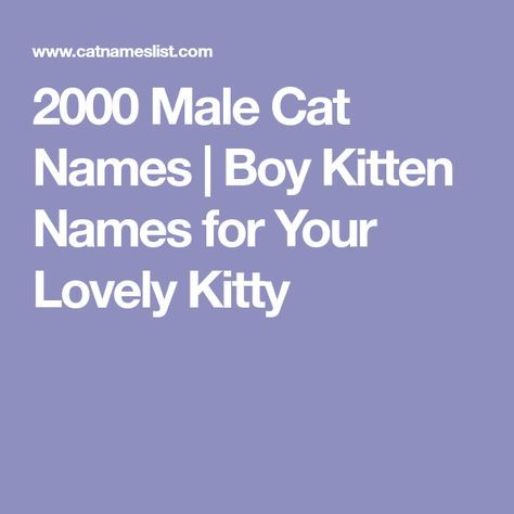 Cat Names Boy, Kitten Names Boy, Names For Male Cats, Boy Cat Names, Girl Cat Names, Cute Cat Names, Cats And Cucumbers, Names Boy, Cat In Heat