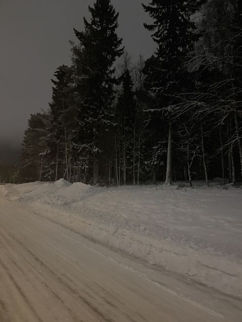 Gray Hour Winter, Grey Hour Winter, Dark Naturalism, Snow Night, Snow Pictures, I Love Winter, Dark Paradise, Look At The Sky, Winter Scenery