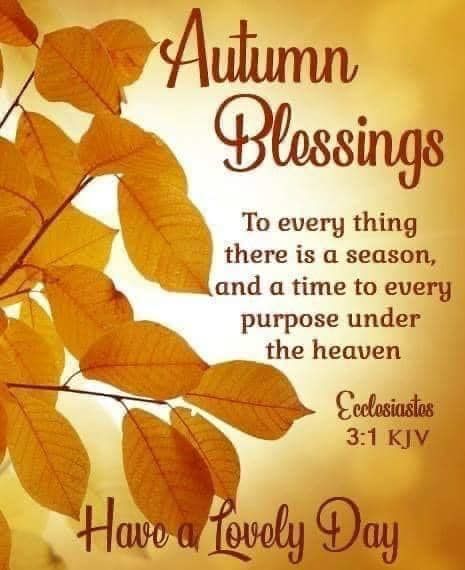 Autumn Blessings: Have A Lovely Day Pictures, Photos, and Images for Facebook, Tumblr, Pinterest, and Twitter Harvest Prayer, Fall Bible Verses, Autumn Things, Autumn Blessings, Blessings Quotes, Thursday Quotes, Harvest Blessings, Day Pictures, Spiritual Prayers