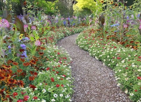 English Garden Design, Walkway Design, Best Perennials, Video Garden, Garden Ideas Cheap, Stone Walkway, Longwood Gardens, Low Maintenance Garden, Garden Pathway