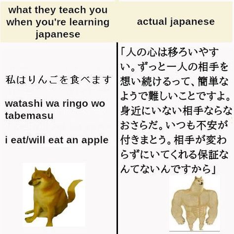 memes only japanese learners will understand. what they teach you vs what you see irl. learning japanese as a beginner #badly_edited_memes Japanese Memes, Learn Japanese Beginner, Japanese Grammar, Learn Japanese Words, Learning Japanese, Japanese Language Learning, Japanese Words, Learn Japanese, Japanese Aesthetic