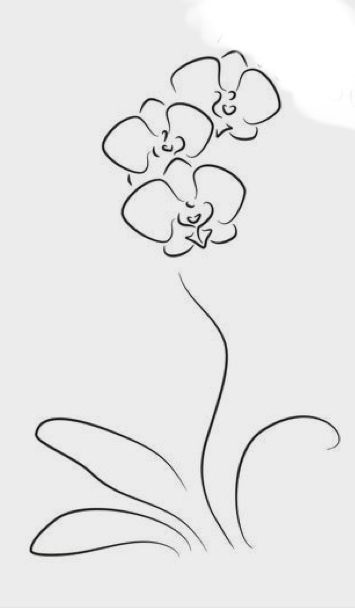 Tulip And Orchid Tattoo, Orchids Drawing Simple, Orchid Drawing Simple, Orchid Tattoo Linework, Simple Orchid Drawing, Orchid Tattoo Minimalist, Orchid Sketch Drawing, Single Line Orchid Tattoo, Orchid Doodle