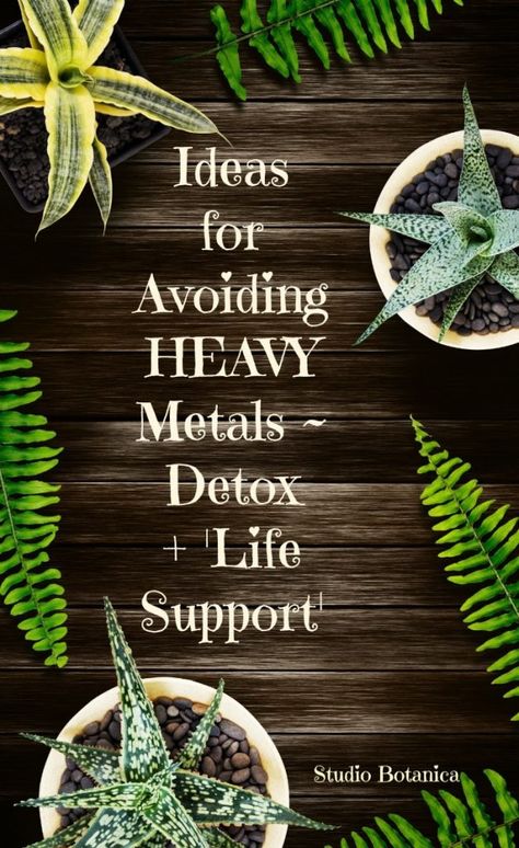 Chelation Therapy, Heavy Metal Poisoning, Nutrition For Runners, Longevity Diet, Heavy Metal Detox, Nutrition Articles, Nutrition Bars, Vegetable Nutrition, Wellness Inspiration