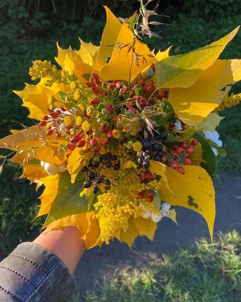 Linda Mydlak on Instagram: "Autumn bouquet 💐 🍁🍃 Wishing you all a wonderful week with this little autumn bouquet the kids and I foraged on yesterday’s walk! 💐🍁🍃 #enwcautumnleavesweek #exploringnaturewithchildren #autumntreasures #autumnbouquet #foragedflowers #autumn #myriadmoment #explorekidcuriosity #raisingawildartist #wonderworldplay #savecraftplay #fantasyhasreallynolimits #natureplayalong #wasteless_playmore #funbudgetplay #craftynatureplay #craftcreateandmake #cubs_at_play #naturein Autumn Bouquet, Instagram Autumn, Nature Play, Autumn Vibes, Cherry Tree, Best Budget, Fall Vibes, The Kids, Autumn Leaves