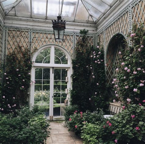 Victorian Sunroom, Conservatory Sunroom, Purple Cottage, Victorian Conservatory, Conservatory Interior, Victorian Greenhouses, 2 House, Victorian Houses, Aesthetic Rooms