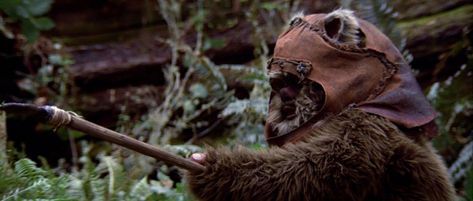 Is Wicket the Ewok Returning for Star Wars: The Force Awakens? Ewoks Star Wars, Wicket Ewok, Ewok Costume, Star Wars Ewok, Star Wars Halloween, Star Wars Facts, Episode Vii, Star Wars Film, Star Wars Poster