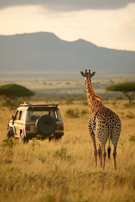 "Embark on an electric safari in Kenya! 🚙⚡ Experience wildlife conservation and adventure in a sustainable way. Explore the savannah with minimal impact and maximum excitement. 🦁🌿 #ElectricSafari #Kenya #EcoFriendlyTravel" Kenya Travel, Kenya Safari, Adventure Aesthetic, Safari Adventure, Animal Crackers, Eco Friendly Travel, Wildlife Conservation, Best Places To Travel, Travel Aesthetic