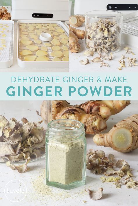 Dehydrate ginger root and make ginger powder - Luvele AU Dehydrating Ginger, Dehydrate Ginger, Luvele Recipes, Ginger Root Recipes, Dehydrator Ideas, Ginger Root Tea, Homemade Ginger Ale, Food Dehydration, Food Dehydrators