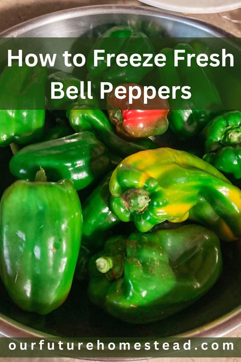 How to Freeze Bell Peppers - Our Future Homestead Freeze Bell Peppers, Freezing Bell Peppers, Bell Pepper Recipes, Our Future, Garden Recipes, Peppers Recipes, Frozen Food, Fermenting, Bell Peppers