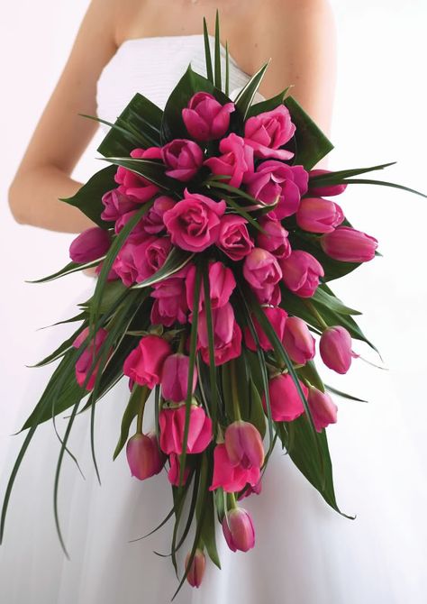 Hot pink tulip and rose cascade bouquet. Just to show how nicely the flowers work together. You can hardly tell which is which at a glance Tulpen Arrangements, Holding A Bouquet, Tulip Wedding, Red Bouquet Wedding, Bouquet Bride, Tulip Bouquet, Cascade Bouquet, Deco Floral, Pink Tulips