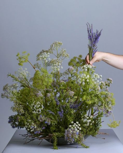 How to Arrange Flowers for an Unexpected, Wild-Looking Table - The New York Times Vegetative Floral Design, Wild Flower Arrangements, Arrange Flowers, Summer Entertaining, Table Flowers, Fruits Vegetables, Flower Centerpieces, Ikebana, Green Thumb