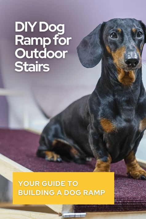 Build a DIY dog ramp for outdoor stairs & help your pup navigate with ease. Learn materials, safety tips & 7 design options. Create a secure & comfortable ramp! Diy Dog Ramp For Stairs Outdoor, Outdoor Dog Ramp For Stairs, Diy Dog Ramp For Stairs, Ramps For Dogs, Dog Ramp For Stairs, Diy Dog Ramp, Outdoor Ramp, Outside Steps, Aluminum Ramp