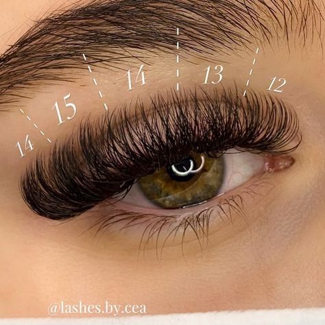 Diy Individual Lashes, Lash Extensions At Home, Easy Skincare Routine, Affordable Skincare Products, Natural Fake Eyelashes, Easy Skincare, Lash Map, Lash Maps, Best Lash Extensions