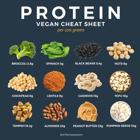 40 Vegan Meal Prep Recipes High in Protein + Full Meal Planning Toolkit High Protein Vegan Diet, High Protein Foods List, Protein Foods List, Vegan Protein Recipes, Vegan Diet Plan, Raw Vegan Diet, High Protein Vegetarian Recipes, Protein Dinner, High Protein Vegan Recipes