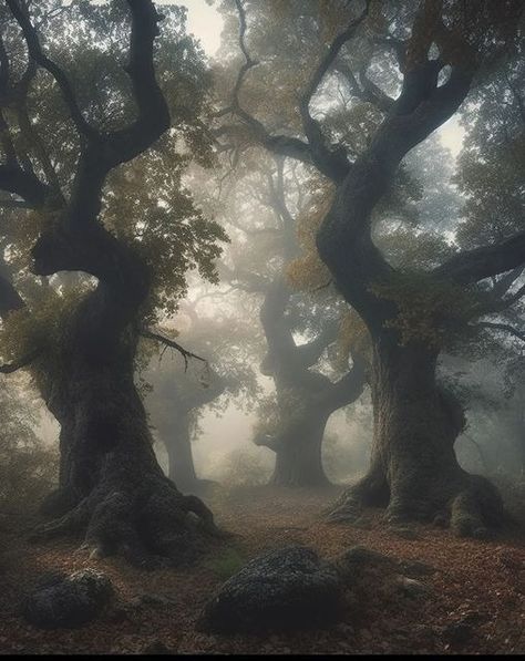 sacred ents Medieval Forest Aesthetic, Druid Academia, Dark Druid Aesthetic, Halsin Aesthetic, Dnd Druid Aesthetic, Celtic Druid Aesthetic, Druid Aesthetic Dnd, Druid Aesthetic, Celtic Forest