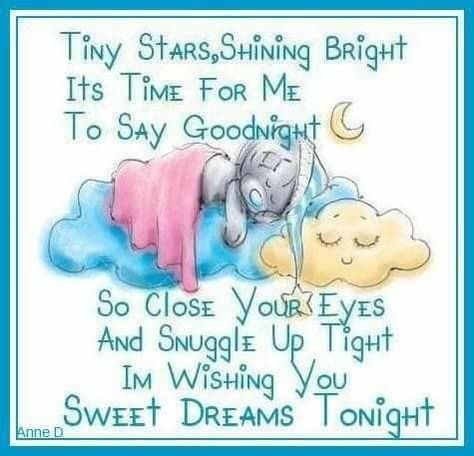 Funny Good Night Images, Sweet Dreams Sleep Tight, Sweet Dream Quotes, Good Night Qoutes, Say Goodnight, Good Night Sleep Tight, Good Night Funny, Hug Quotes, Bear Quote