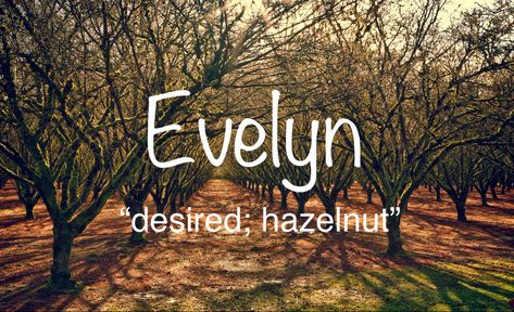 Evelyn Name Meaning, Evelyn Name, Evelyn Core, Names Meaning, Exotic Names, Sweet Baby Names, Unusual Names, Best Character Names, Fantasy Names