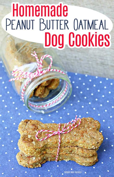 Homemade peanut butter oatmeal dog cookies your pup will love! This is an easy homemade dog treat recipe with wholesome ingredients. Your dogs will love these DIY dog treats! They make a great DIY gift in a jar for dogs and dog lovers. #dogtreats #dogtreatrecipes #homemadedogtreats #dogs #puppies Homemade Dog Cookies, Dogs Treats, Dog Treats Homemade Easy, Easy Dog Treat Recipes, Dog Biscuit Recipes, Easy Dog Treats, Peanut Butter Dog Treats, Dog Treats Homemade Recipes, Diy Dog Treats