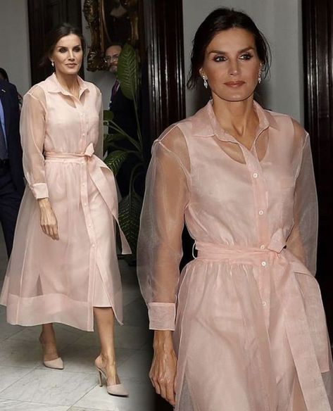 Most Paused Movie Scenes, Letizia Of Spain, Elegant Dresses Classy, Trendy Dress Outfits, Organza Dress, Designer Dresses Casual, Belted Midi Dress, Stylish Dress Book, Queen Letizia