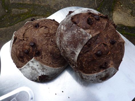 Chocolate Sourdough Bread, Chocolate Sourdough, Tartine Bakery, Sourdough Bread Starter, Dutch Oven Bread, Bread Starter, Fruit Bread, Chocolate Bread, Sourdough Baking