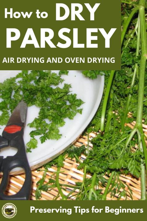 Preserve Parsley, Dehydrate In Oven, Preserve Fresh Herbs, Dehydrating Food Storage, Drying Fresh Herbs, Cooking And Baking Recipes, Fresh Herb Recipes, Parsley Recipes, Parsley Leaves